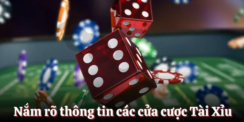 Nắm rõ thông tin các cửa cược trong Tài Xỉu