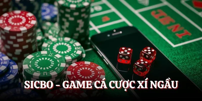 Sicbo - Game cá cược xí ngầu