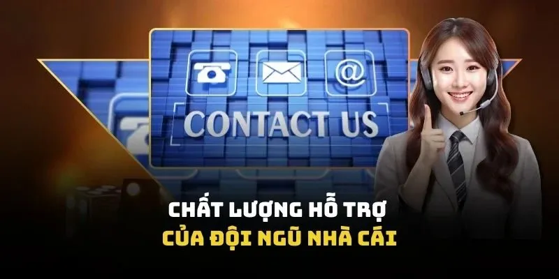 Chất lượng hỗ trợ của đội ngũ nhà cái
