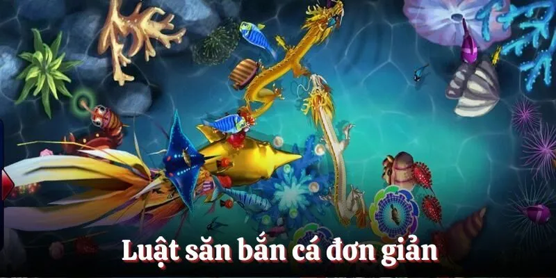 Luật săn bắn cá đơn giản 