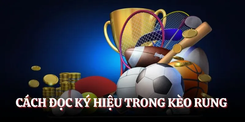 Cách đọc ký hiệu trong kèo rung là gì?