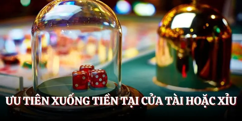 Ưu tiên xuống tiền tại cửa Tài hoặc Xỉu