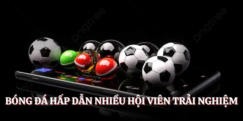 Bóng đá hấp dẫn nhiều hội viên trải nghiệm